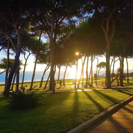 Loft - Garaje - Terraza Privada Junto Al Parque Y Playa Leilighet Conil De La Frontera Eksteriør bilde